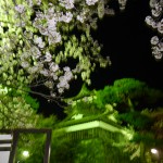 P1010458