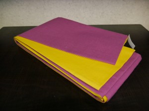 P1010543