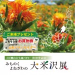 米沢展1_03